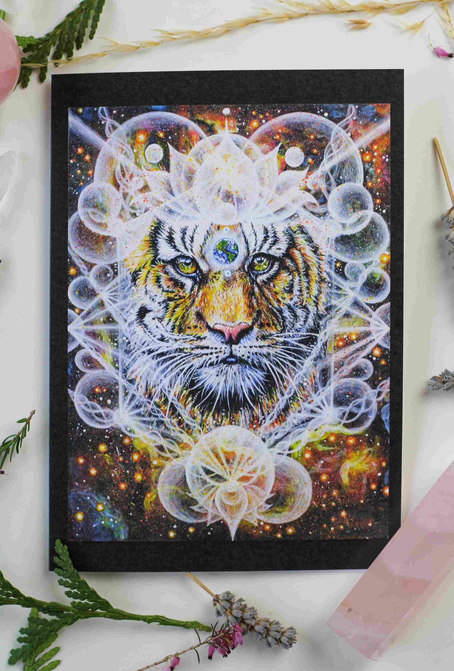Pack of 6 Greeting Cards